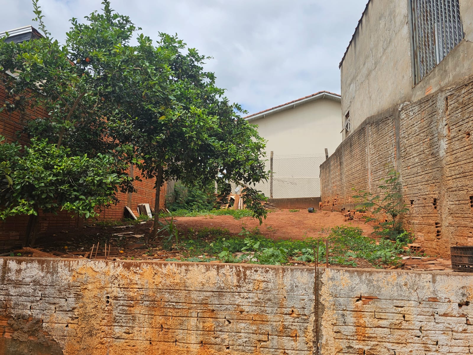 WhatsApp Image 2026-04-15 at 8.18.50 AM(1)