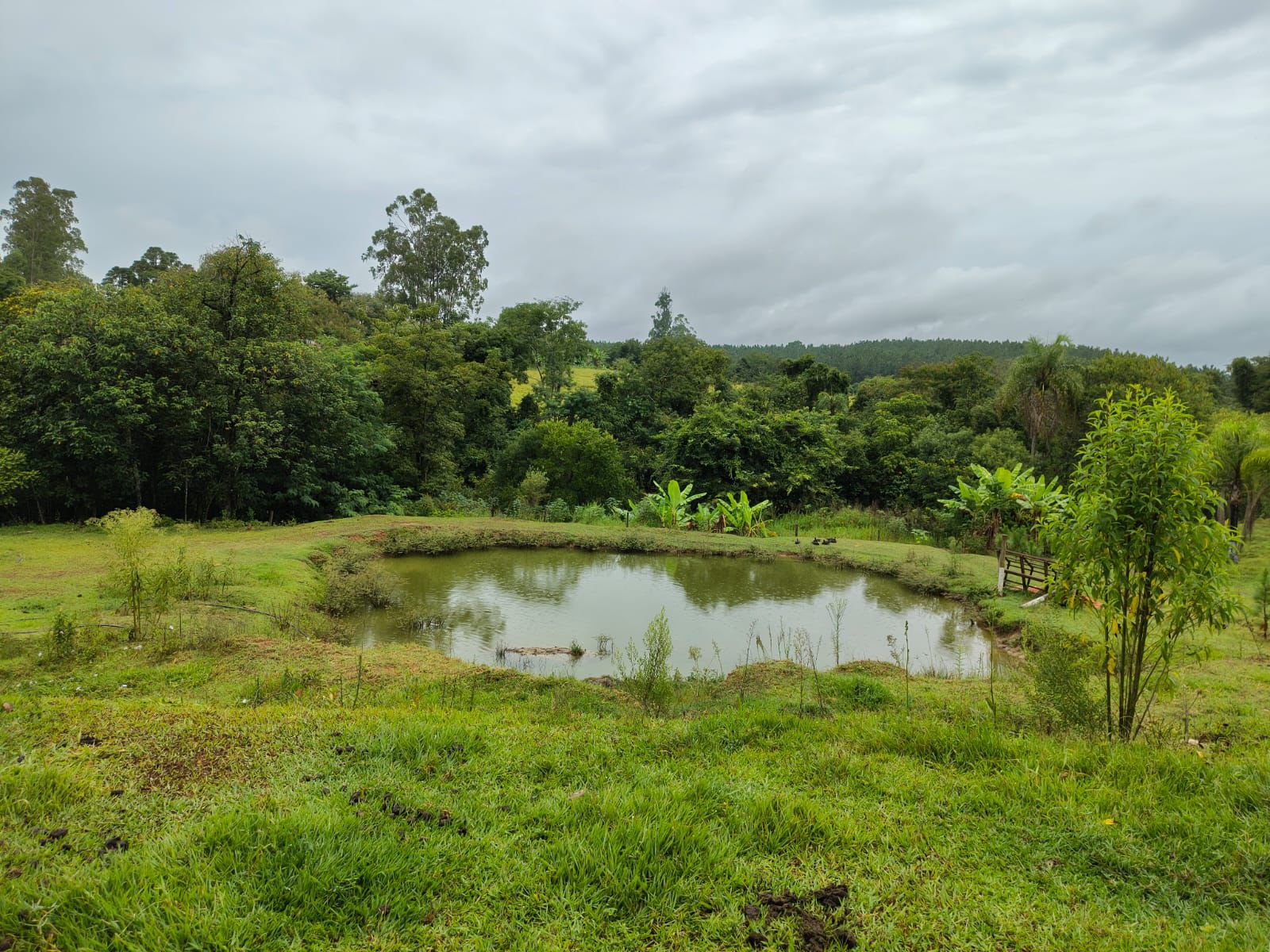 WhatsApp Image 2026-03-26 at 8.18.09 AM(8)